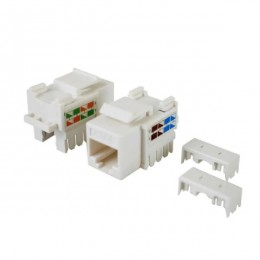 Conector RJ45 Jack Femea Cat5 Keystone Importado Branco